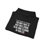 SPRING CLEANING UNISEX HOODIE
