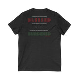 BLACK QUEER RBG UNISEX V-NECK T-SHIRTS