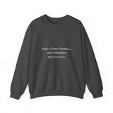 TAKE A DEEP BREATH (CLEAN) UNISEX SWEAT SHIRT