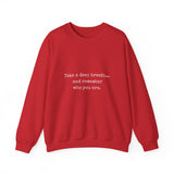 TAKE A DEEP BREATH (CLEAN) UNISEX SWEAT SHIRT