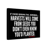 HARVEST CANVAS ART