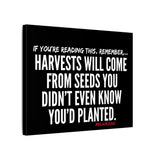 HARVEST CANVAS ART