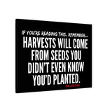 HARVEST CANVAS ART