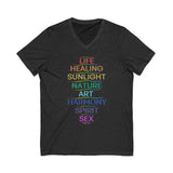 MEANING OF PRIDE UNISEX V-NECK T-SHIRTS