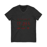COUNT IT ALL JOY-RBG UNISE V-NECK T-SHIRTS