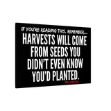 HARVEST CANVAS ART