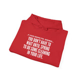 SPRING CLEANING UNISEX HOODIE