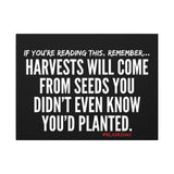 HARVEST CANVAS ART