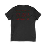 COUNT IT ALL JOY-RBG UNISE V-NECK T-SHIRTS