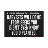 HARVEST CANVAS ART