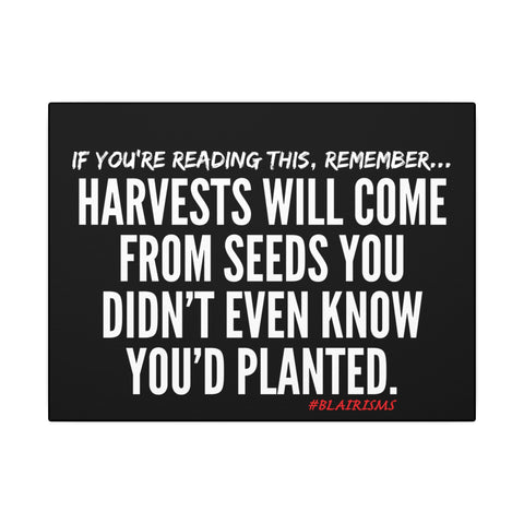 HARVEST CANVAS ART