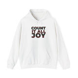 COUNT IT ALL JOY-RBG UNISEX HOODIE