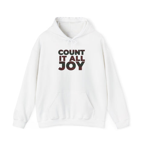 COUNT IT ALL JOY-RBG UNISEX HOODIE