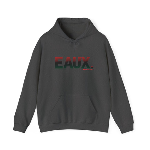EAUX RBG UNISEX HOODIE