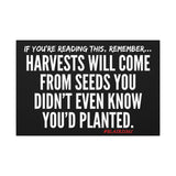 HARVEST CANVAS ART