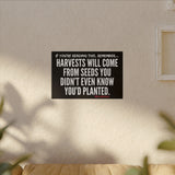 HARVEST CANVAS ART