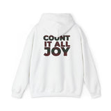 COUNT IT ALL JOY-RBG UNISEX HOODIE