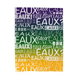 EAUX- WHITE ON MARDI GRAS PLUSH BLANKET
