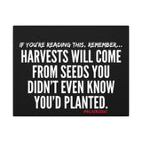 HARVEST CANVAS ART