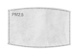 BEAM Custom Face Mask w/ Filter